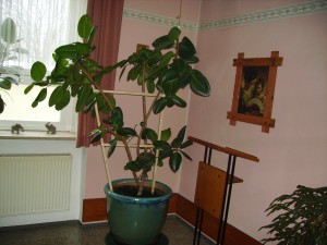 haus_hahnenkamm_24.02.09_innenraeume_026