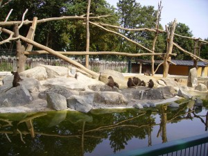 zoobesuch_25.08.09_010
